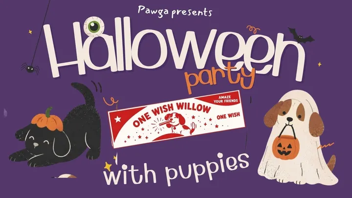 Pawga's Halloween party w. Puppies | Sage & Lavender, Alwarpet