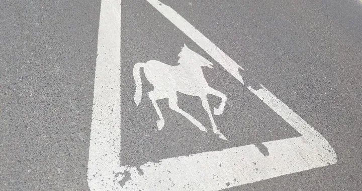 Cerys Bradley: On Road Signs