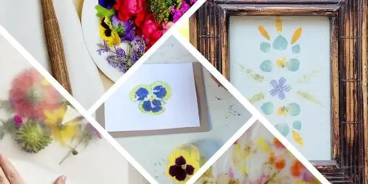 Making a Nature Print - Tatakizome Style