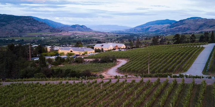 Table Nineteen: Winemakers Dinner; A Sommelier's Tour of BC's Wine Country