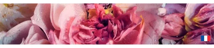 French Niche Perfume Masterclass
