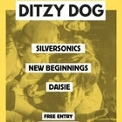 ALL AGES SHOW @ LA'S w/ Ditzy Dog // Silversonics // New Beginnings // Daisie | FREE ENTRY