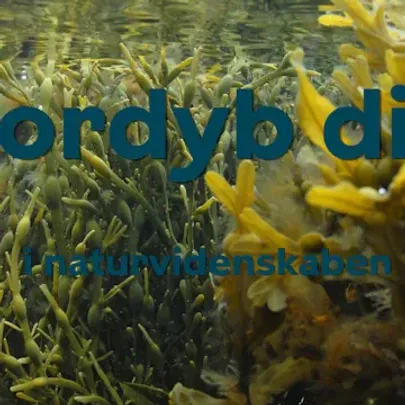 Fordyb dig i naturvidenskab - Tang