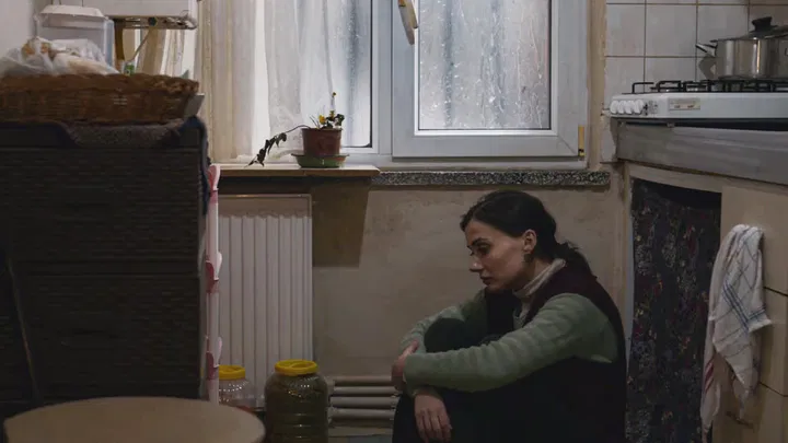 Bir Anne Hakkında