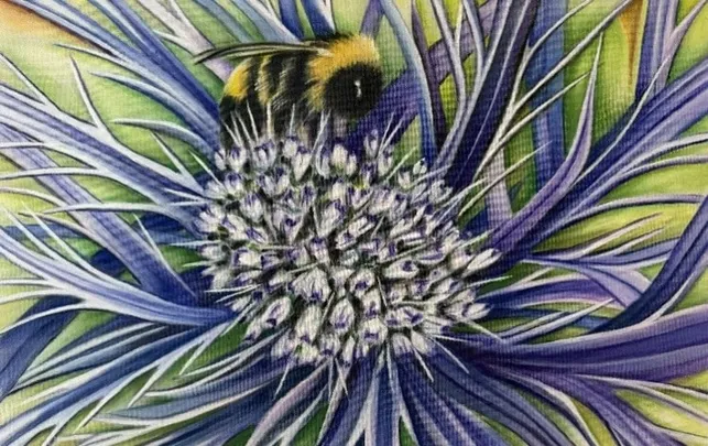 304: Inktense Pencils/Blocks and Prismacolor Pencils 101 with Judith Phelps