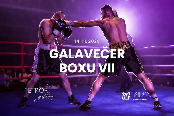 Galavečer boxu VII