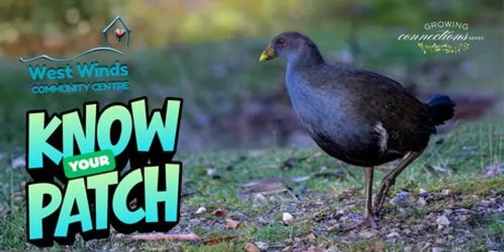 Know Your Patch | Identify Species | Planning Property Management