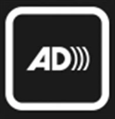 Audio Description Headset