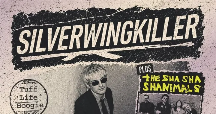 Silverwingkiller