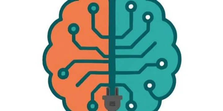 Brain Training at Braidwood Library October 2026