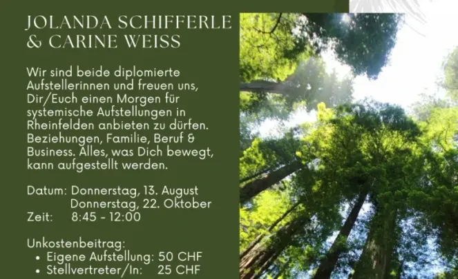 Systemischer Aufstellungsmorgen