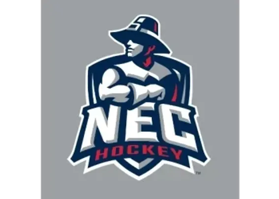 New England College
