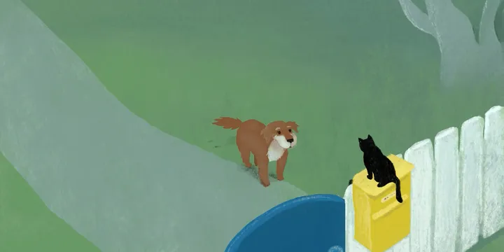 Tiny Docs & Morning Cartoons