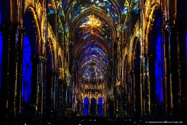 Luminiscence Lille #2 - L'Odyssée Céleste