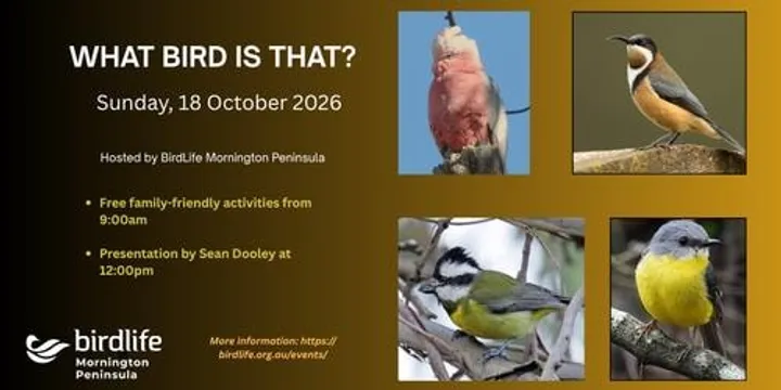 What Bird is That!