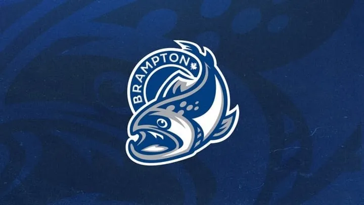 Brampton Steelheads vs. Flint Firebirds