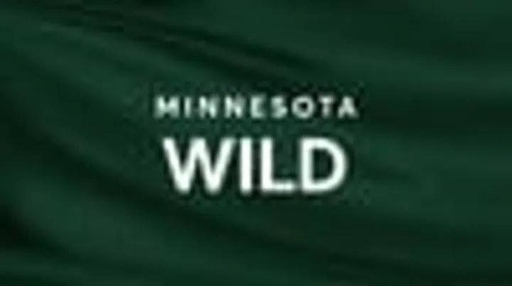 Minnesota Wild vs. Vegas Golden Knights