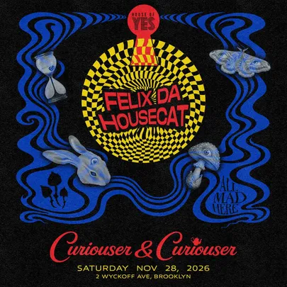 Curiouser & Curiouser: Felix Da Housecat