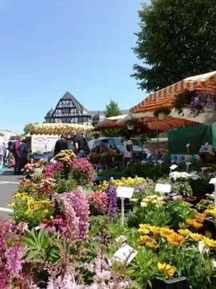 Erlebnis Wochenmarkt - Schlemmer-Wochenmarktführung