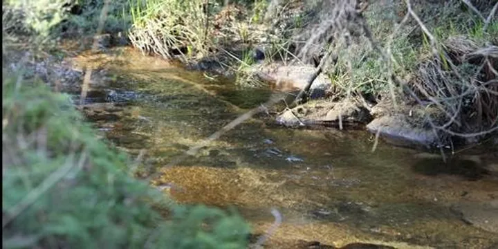 Landscape Rehydration: Water in all the right places