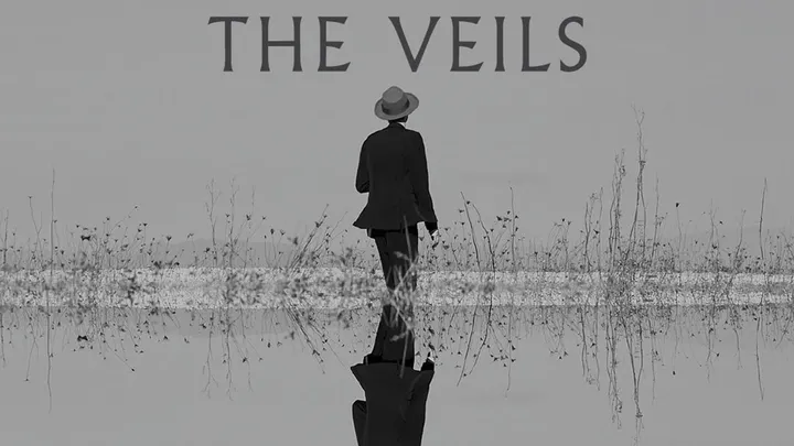 The Veils