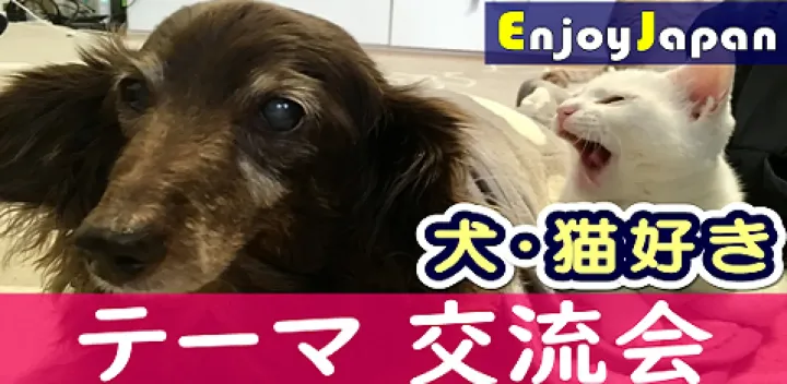【✨女性主催✨】東京都・新宿【土11:30～】「犬・猫好き」交流会