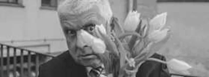 Erwin Grosche - PIPIFAX - Vom Nutzen der Nebengeräusche