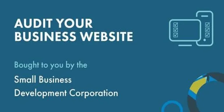 Audit your Business Website