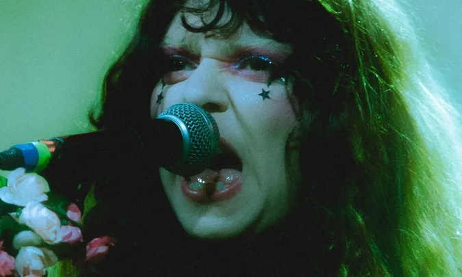 The Velveteers
