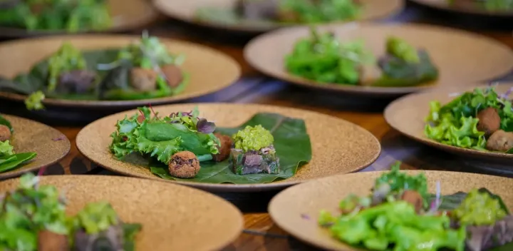 FOOD SHIFT SHONAI 「Share the Table」 「命」を巡らせる食卓 — 山形・庄内の獣害とジビエのリアル —【夜 第一部】