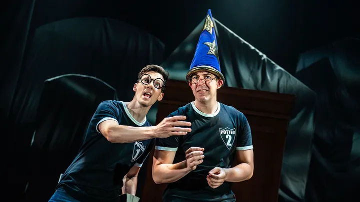 Potted Potter (Chicago)