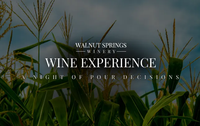 A Night of Pour Decisions - Wine Maze