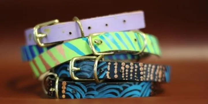 Dog Collar Workshop