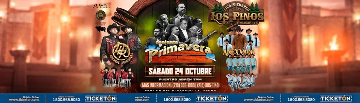 CONJUNTO PRIMAVERA & MAS