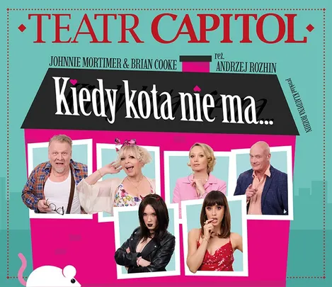 Kiedy kota nie ma...