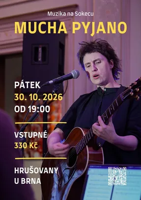 Muzika na Sokecu: MUCHA PYJANO