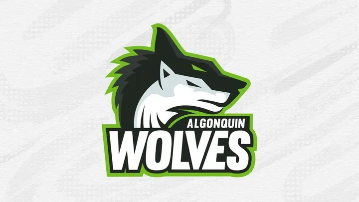 Varsity Basketball: Algonquin Wolves vs. Seneca Sting