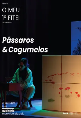 FITEI | Pássaros e Cogumelos