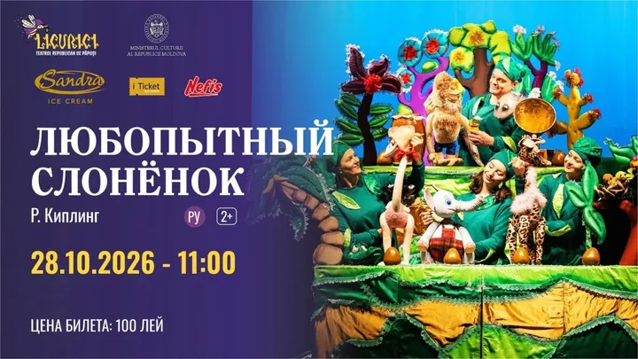 ЛЮБОПЫТНЫЙ СЛОНЁНОК