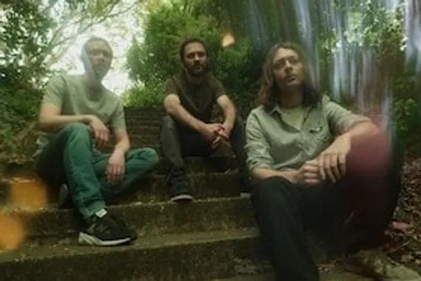 Mammal Hands | Dieter Ilg & Band