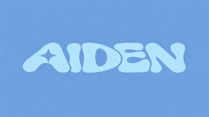 HAPPY AIDEN DAY!