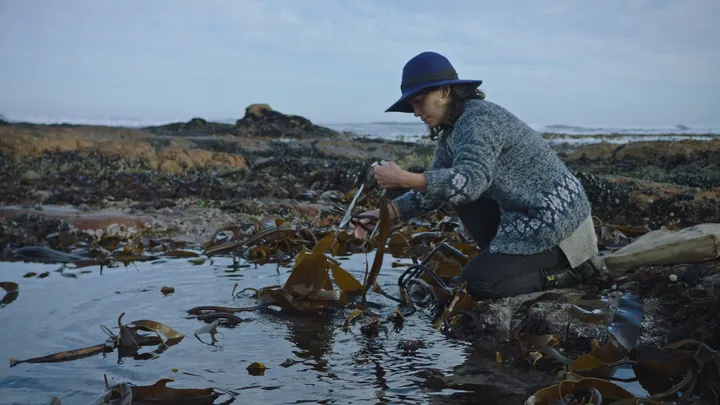 Coastal Forage Experience with Veld & Sea - 23 January