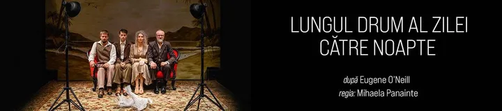LUNGUL DRUM AL ZILEI CĂTRE NOAPTE