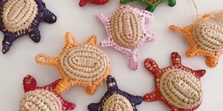 Interwoven (Aboriginal weaving- advanced turtle making)