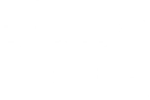Jellis Craig Family Christmas Party