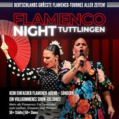 Flamenco Night - Flamencomania