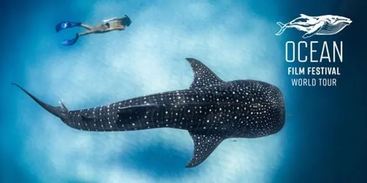 Ocean Film Festival World Tour 2027 - Newcastle Wed 10 Mar 7pm