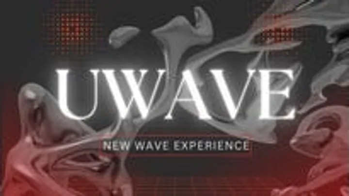 U WAVE (B) - New Wave Experience
