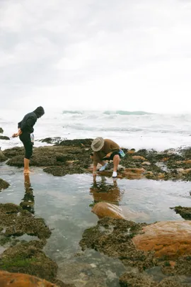 Coastal Forage Experience with Veld & Sea - 7 February