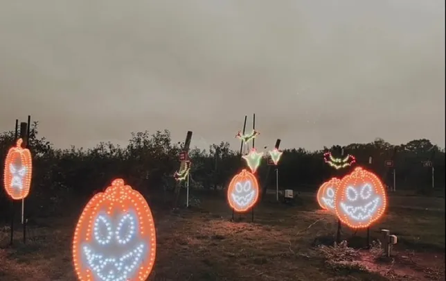 Halloween Light Show 2026